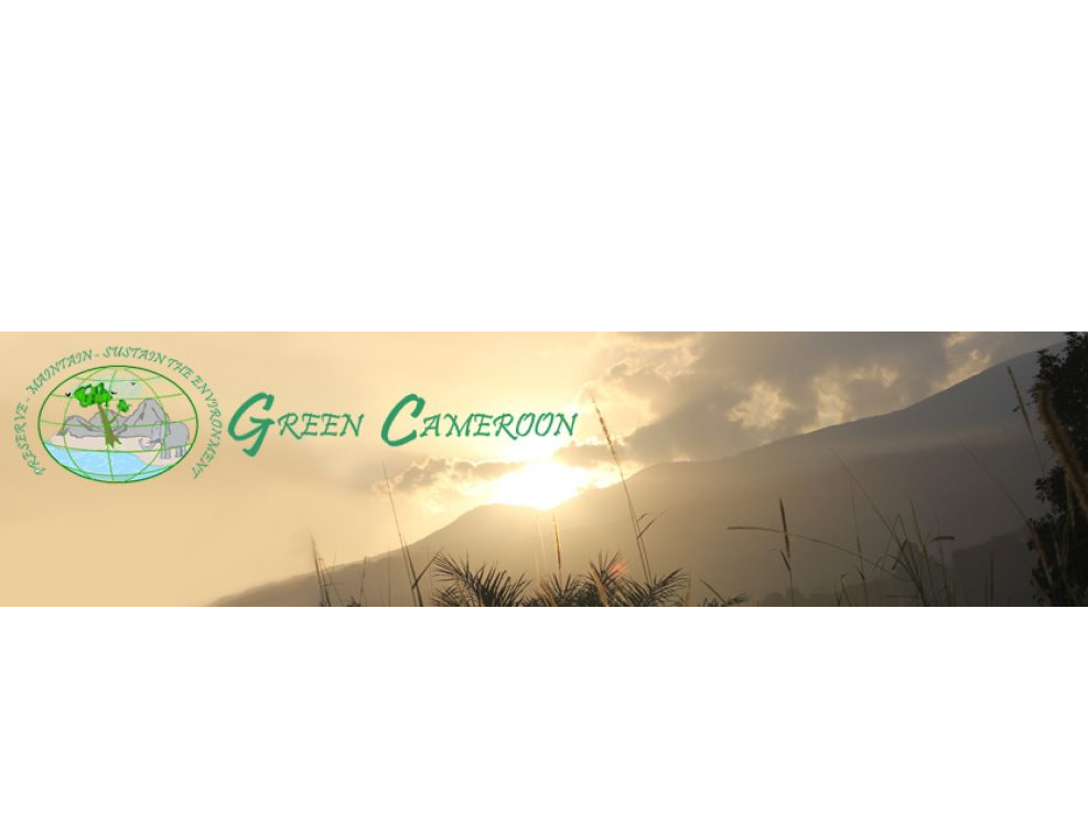 Green Cameroon logo