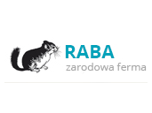 Raba logo