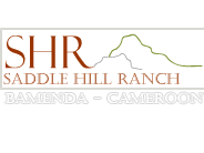 Saddle Hill Ranch and Resort  logo