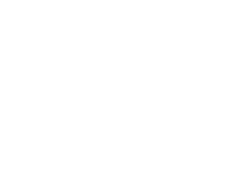 Inbursa logo