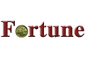Addis Fortune logo
